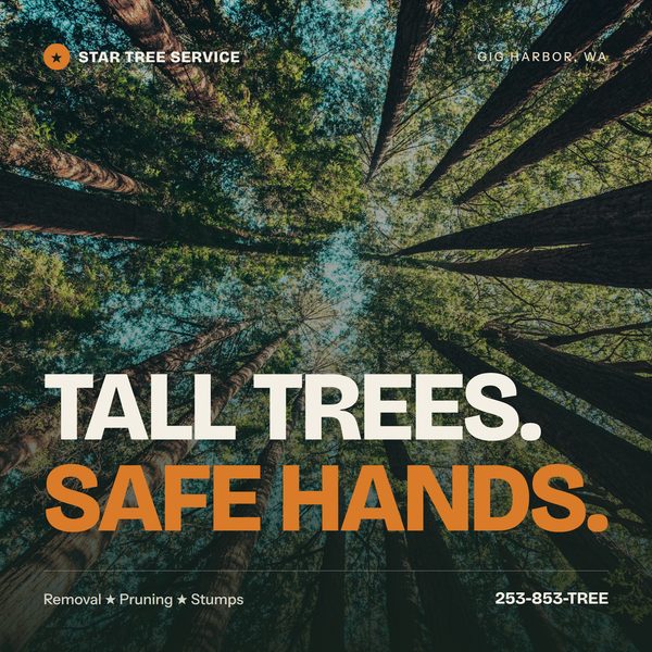 Star Tree Service social tile 1