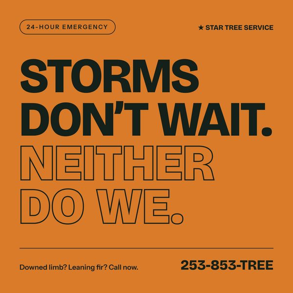 Star Tree Service social tile 2