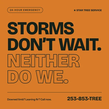Star Tree Service social tile 2