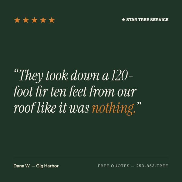 Star Tree Service social tile 6
