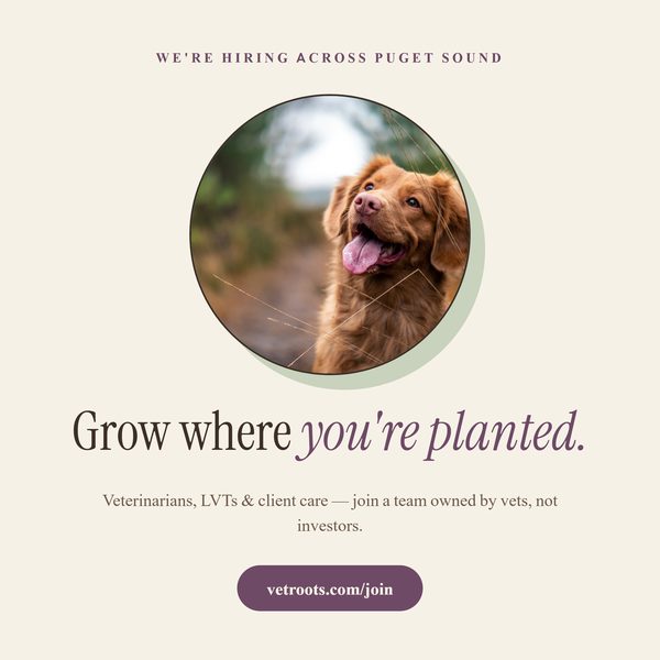 VetRoots animated social tile 3