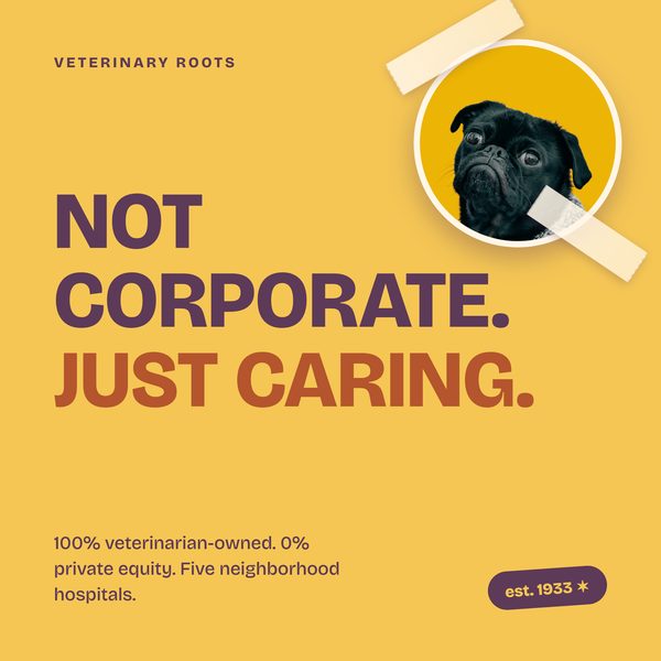 VetRoots animated social tile 4
