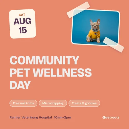 Community Pet Wellness Day