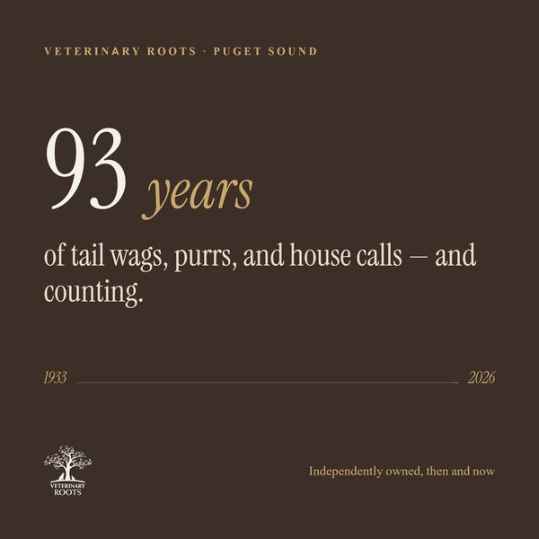 VetRoots animated social tile 11