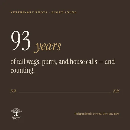 93 years of tail wags
